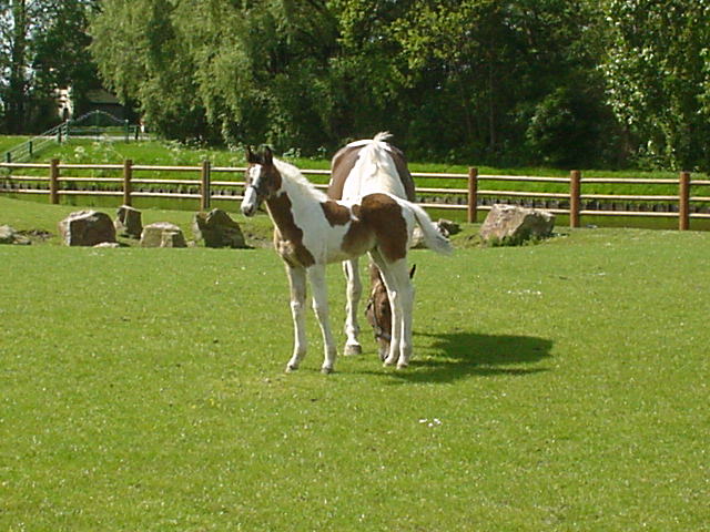 dsc00046.jpg