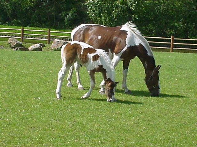 dsc00048.jpg